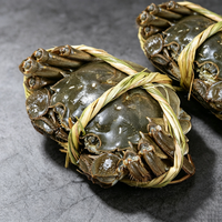 Fresh Live Chinese Mitten Crab