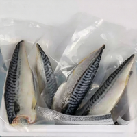 Norwegian Mackerel Fillets, Skin-On