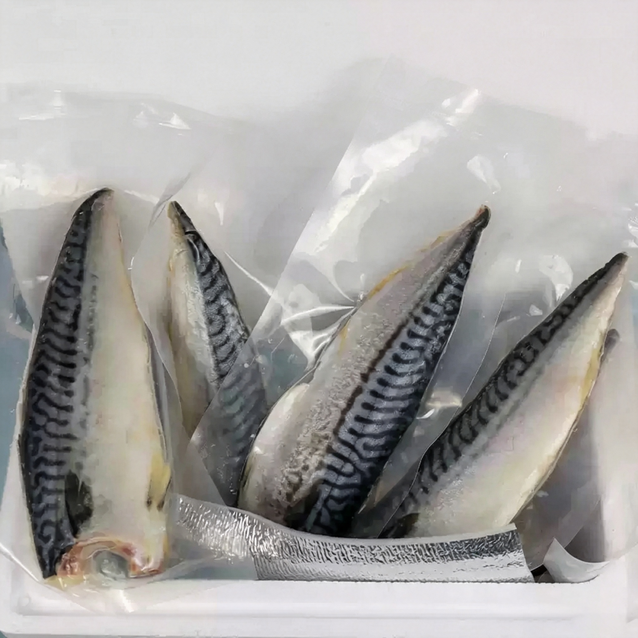 Norwegian Mackerel Fillets, Skin-On